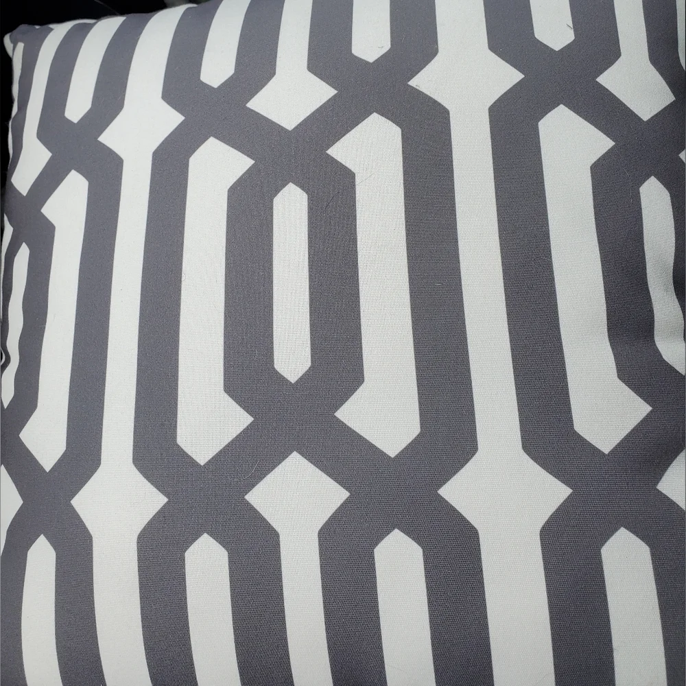 Williams Sonoma Outdoor  Printed Links Pillows
